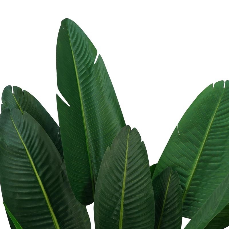 Sterlitzia artificiale con 13 foglie lunghe - H.180 cm - Stilè