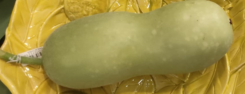 Zucca verde  artificiale - 28 cm
