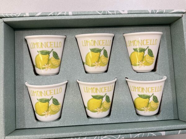 Set 6 bicchierini limoncello in porcellana - 75 cc d 5,7 h5,5 cm - La porcellana bianca