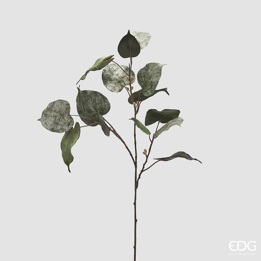Ficus velluto ramo - H.80 cm - EDG
