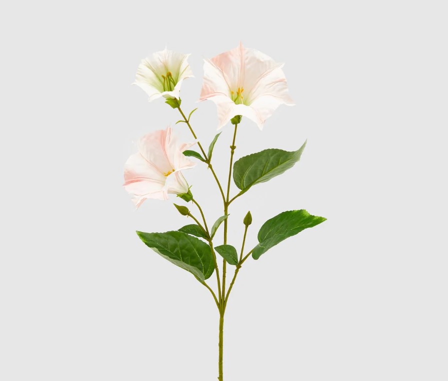 Fiore artificiale petunia rex ramo x3 white pink - H.70 cm - EDG