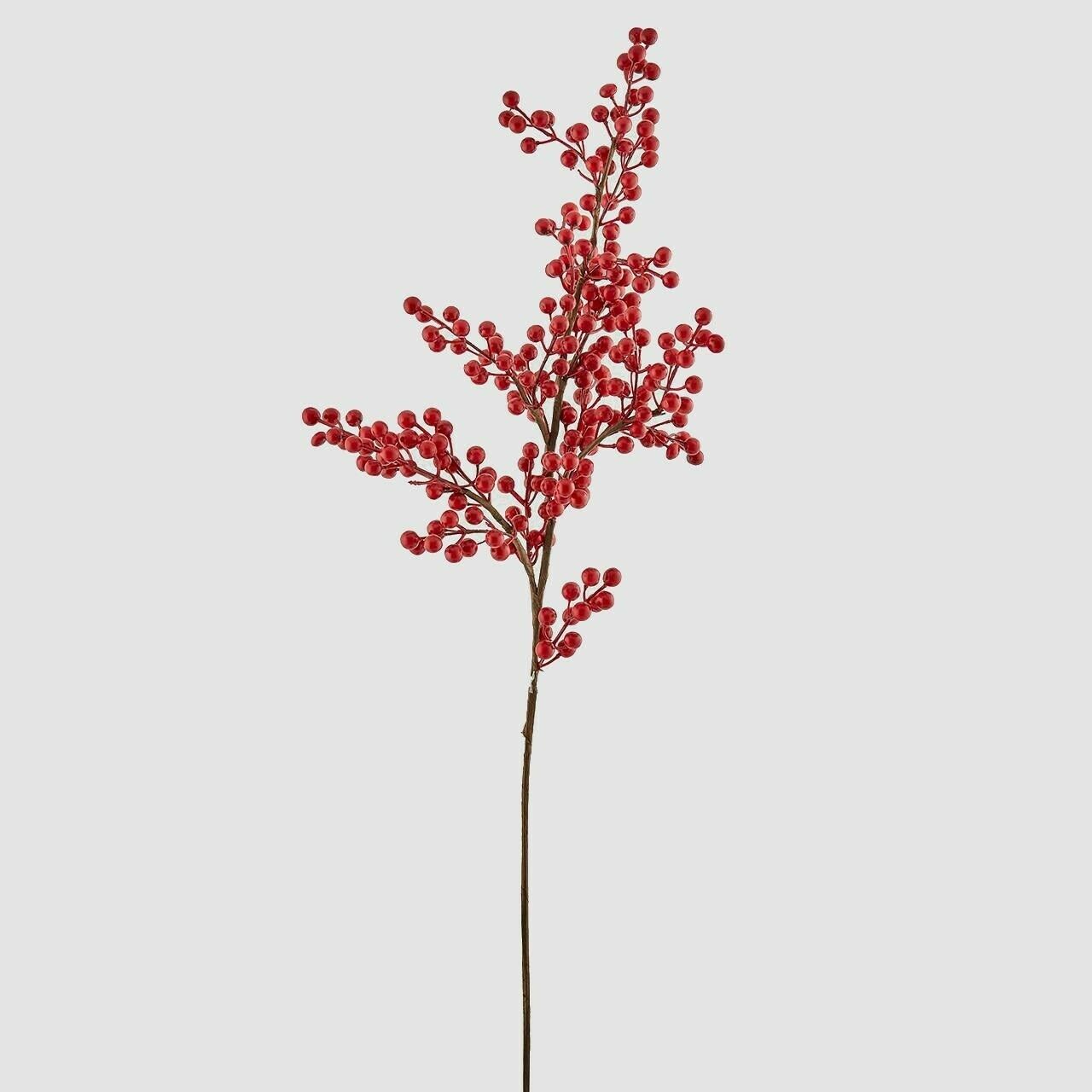 Ramo di bacche - h.110 cm - EDG