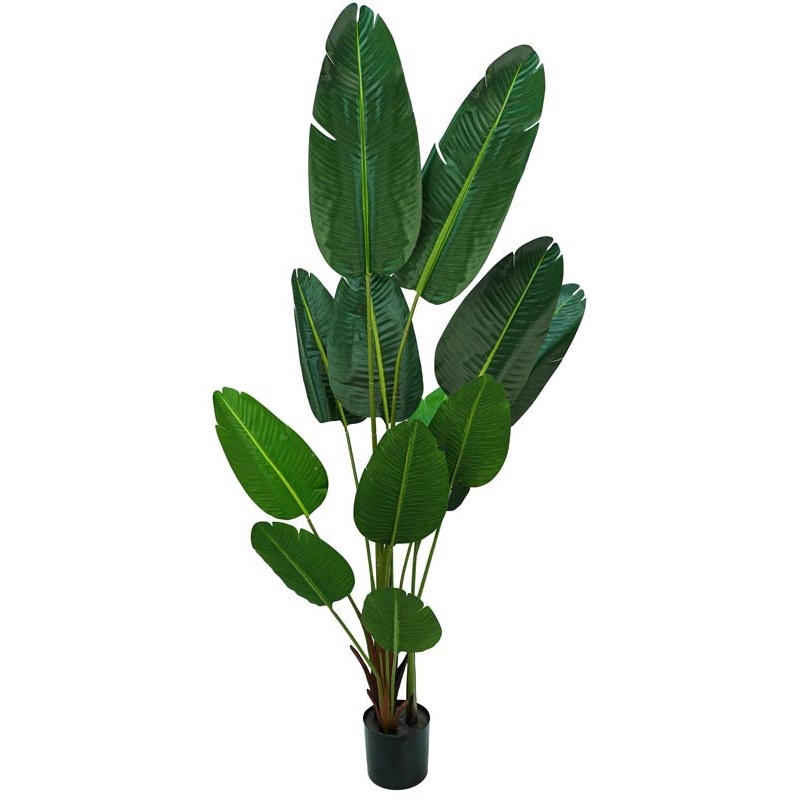 Sterlitzia artificiale con 13 foglie lunghe - H.210 cm - Stilè