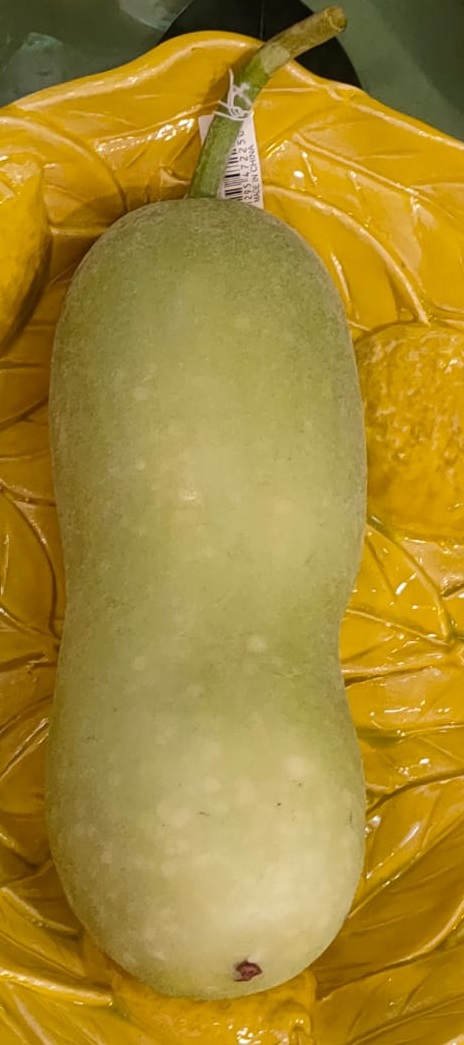 Zucca verde  artificiale - 28 cm
