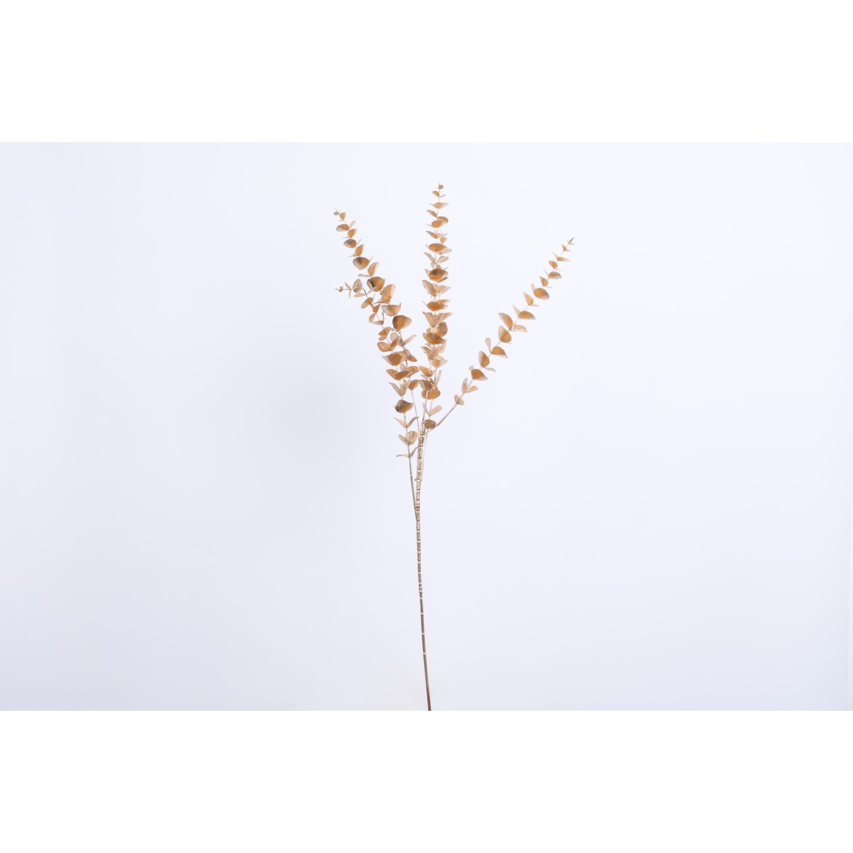 Ramo eucalipto dorato - H. 85 cm - Fiori di Lena