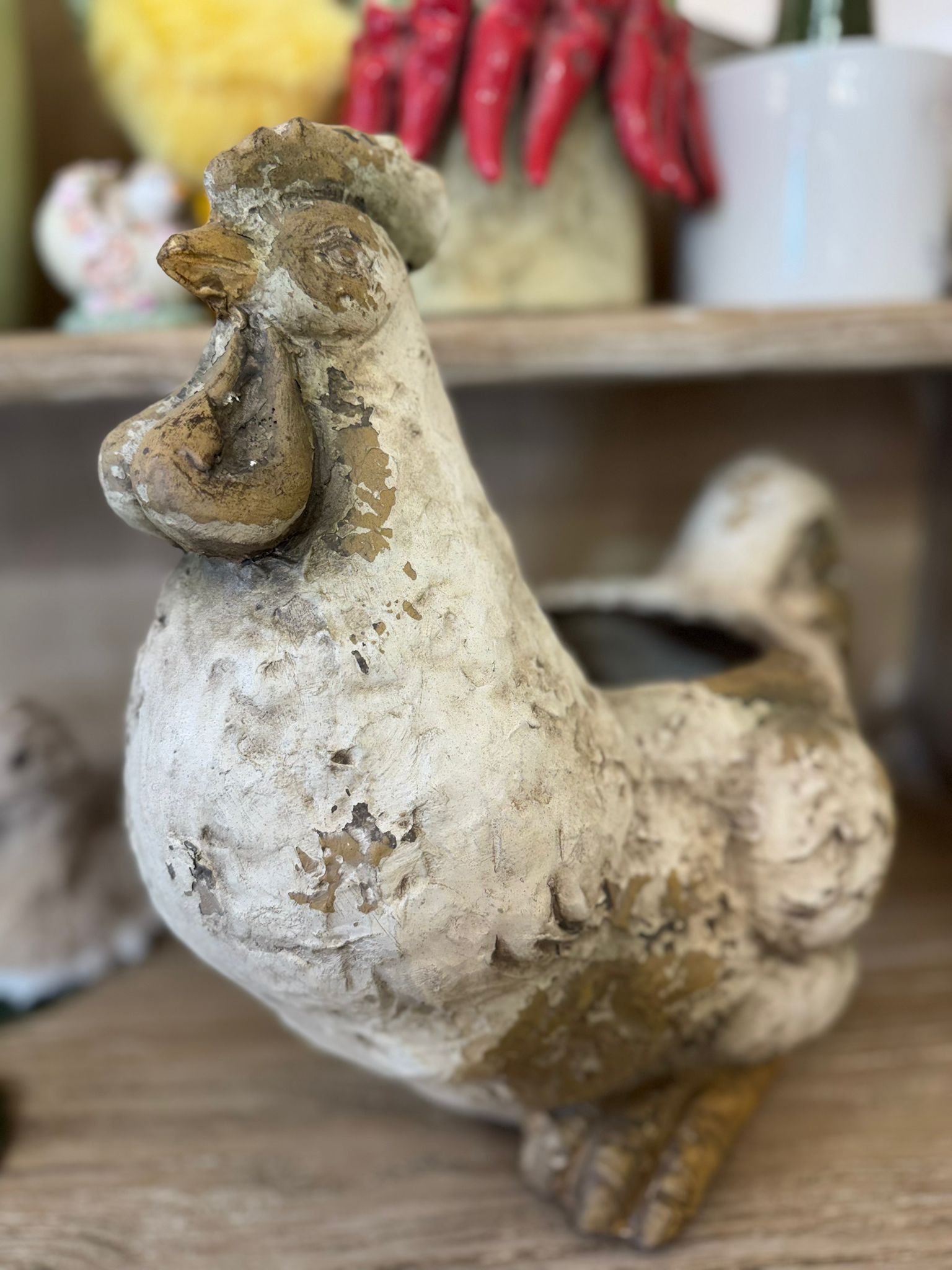 Gallina portapiante in pietra - H.36x40 cm -  Blanc Mariclo