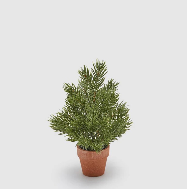 Pino west con vasocarta - H.23 cm - EDG